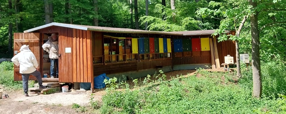 Bienenhaus Ochsenberg
